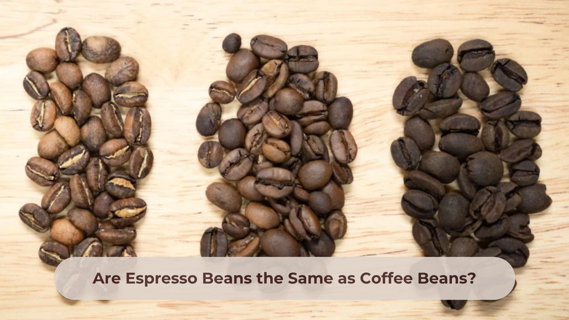 espresso beans vs coffee beans
