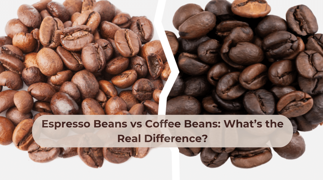 espresso beans vs coffee beans